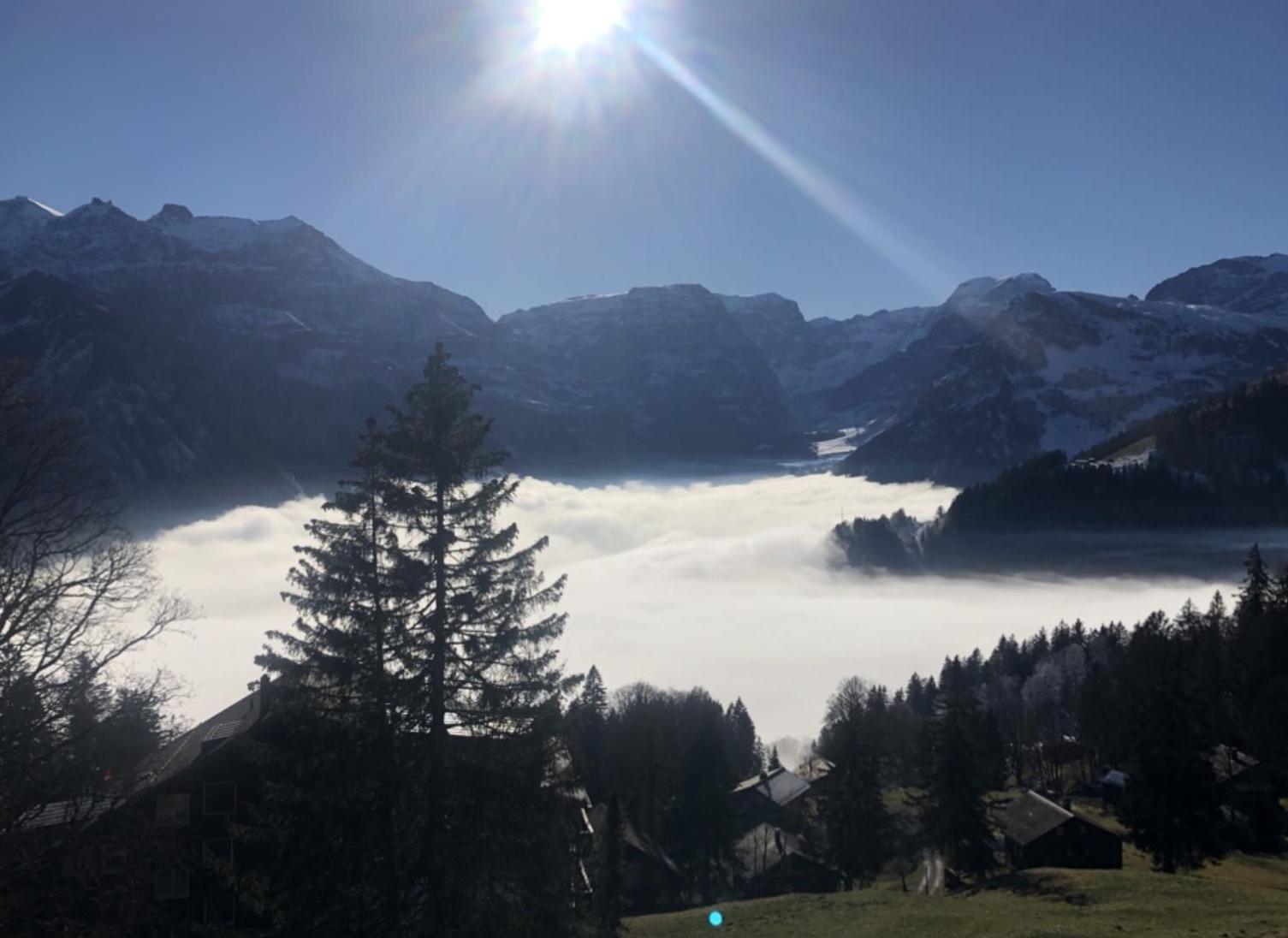 Sunnehuesli * Braunwald